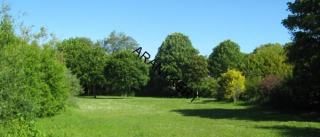 TRÁVNA ZMES PARK 10kg